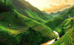 Destination